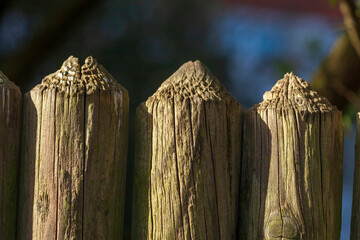 Brauner Bretterzaun aus Holz mit Zaunpfählen, Deutschland