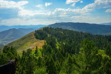 Beautiful view of the green hills and blue cloudy sky. Jackson Hole, Wyoming, USA.