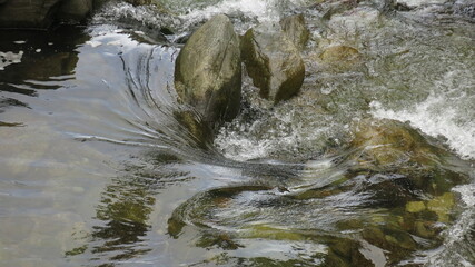 Water flowing in the forest. Water flows over the stones. Section of a mountain river. The water...