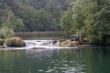Scenic view of a river flowing through a green forest in Croatia