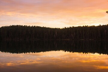 Beautiful shot of a bright sunset sky over a reflective pond near a forest