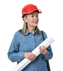 Architect in hard hat with draft and tube on white background