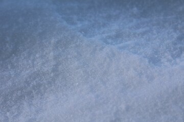 Closeup shot of fresh show with shadows cast on it