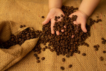 coffee beans in the girl's hands