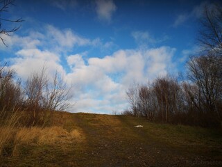 Scenic landscape shot of a grass field on a hill on a sunny day