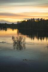 Vertical shot of a peaceful river with trees at sunset in Sweden