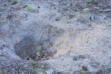 pit in gray sand in nature in the forest