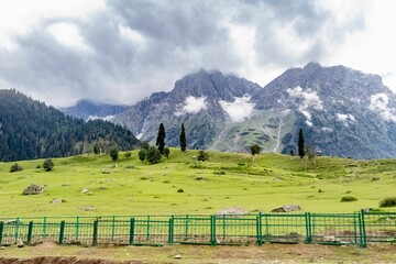Fototapeta na wymiar Scenic view of a mountain range covered with greenery behind a fence in Kashmir, India