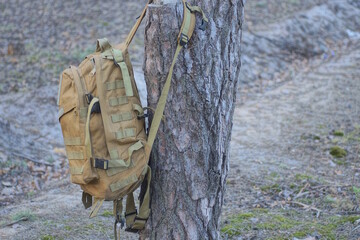 one full brown army backpack hanging on a pine tree in nature