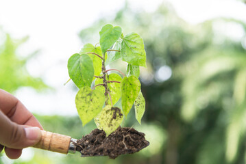 Earth day and Hands Team Work protecting tree growing for reduce global warming earth.Ecology...