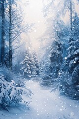 A serene snowy path through a peaceful forest. Ideal for nature and winter themed projects