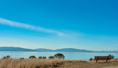 Beautiful view of a wooden bench and wild grass on a beach by the sea with blue sky on the horizon