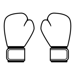 Mixed martial arts equipment: boxing gloves