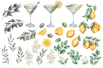 Watercolor set of illustrations. Hand painted dry martini cocktails in martini glass. Green olives, lemon fruits, flowers, branches, leaves. Citrus. Dirty martini. Alcohol drink. Isolated clip art - obrazy, fototapety, plakaty