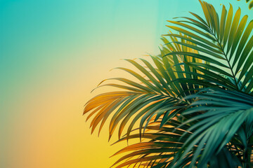 Tropical Palm Frond Silhouette against Vibrant Sunset Sky