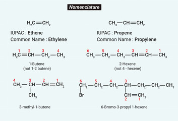 Nomenclature is the language of sculpture. A set of names or terms.