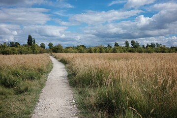 Fototapeta na wymiar Scenic view of a trail in a green field on a cloudy day in Orestad, Copenhagen, Denmark