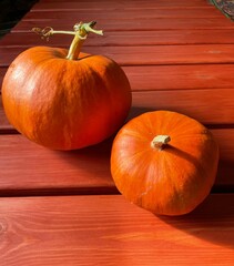 Vertical shot of pumpkins against the wooden background