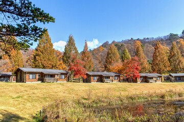 Cabin in the forest surrounded by trees