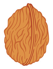 Walnut vector flat icon. Cartoon illustration of whole nut in shell. Omega-3 product