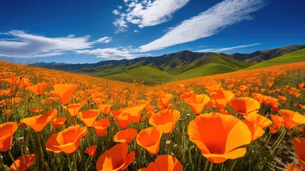 Abwaschbare Fototapete field of poppies and sky. © Shades3d