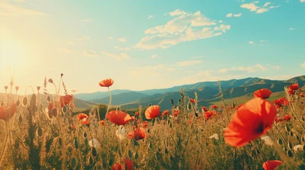 Tuinposter field of poppies and sky. © Shades3d