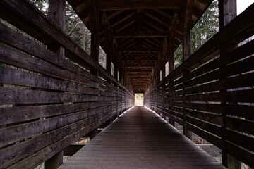 Fototapeta premium Beautiful view of a light shadow in the wooden bridge in the forest