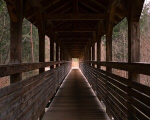 Beautiful view of a light shadow in the wooden bridge in the forest