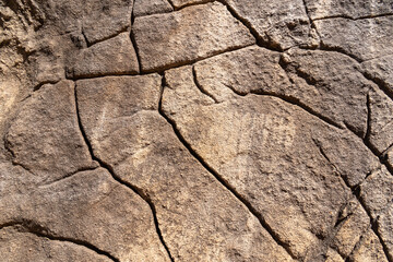 Close-Up View of a Dry, Cracked Stone Surface Under Bright Daylight