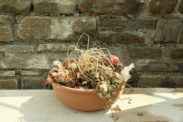 Naklejka premium Closeup of pot with dried plant in background of wall
