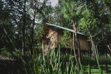 Low angle shot of a wooden house seen behind green grass and trees