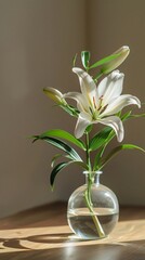 Lily flower in a vase