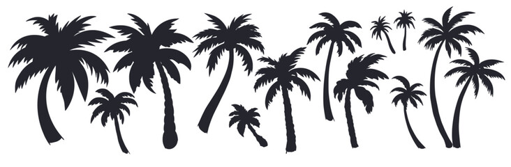Tropical palm trees set for sunny beach design of surf culture. Exotic plants collection or palm leaves for island paradise. Monochrome outline style or black and white lines
