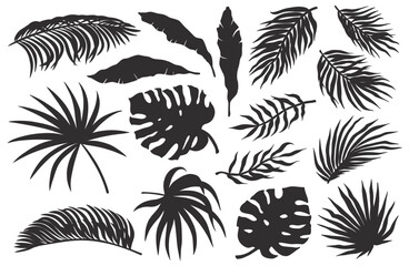 Tropical plant set or summer exotic leafs for decoration wedding or florist shop. Exotic nature plants collection with monstera, palm and banana leafs for vector tropic design