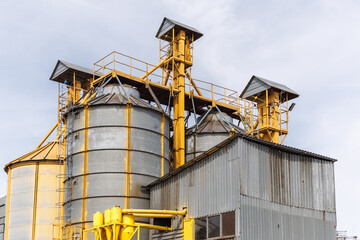silos on agro-industrial complex with seed cleaning and drying line for grain storage - 782968994