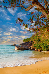 picturesque bright sunset landscape beach in Seychelles, nature vertical background