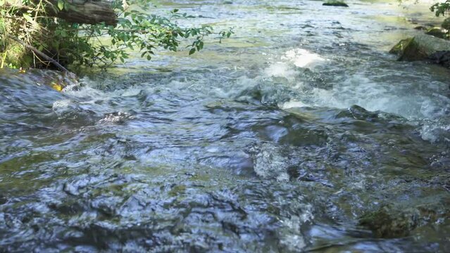 Mountain stream.Beautiful nature landscape natural, fresh river flows between trees in an eco environment. Scenery on adventure walks