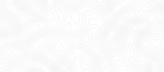 Abstract Topographic map background with wave line. Panorama view gradient multicolor wave curve lines banner background design. Vector illustration. wave Line topography map contour background.