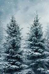 Snow covered pine trees in the winter forest, perfect for seasonal backgrounds