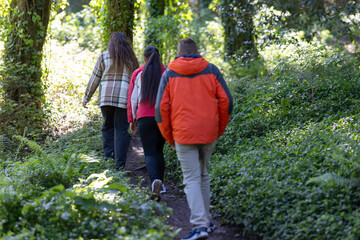 Group of People Walking Down a Path in the Woods