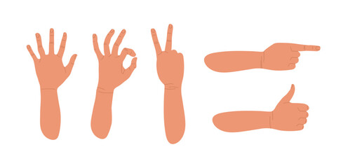 Gesturing. Set of hands in different gestures. Various hand signs. Human hands show signs. Vector flat illustration of hands in various situations isolated on white