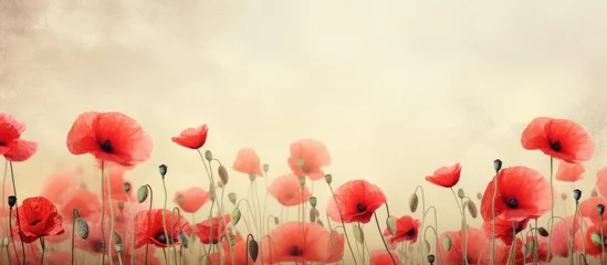 Deurstickers Red poppies field under sky © vxnaghiyev