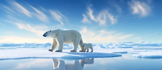 Foto op Canvas Polar bear and cub under the sun on icy surface © vxnaghiyev
