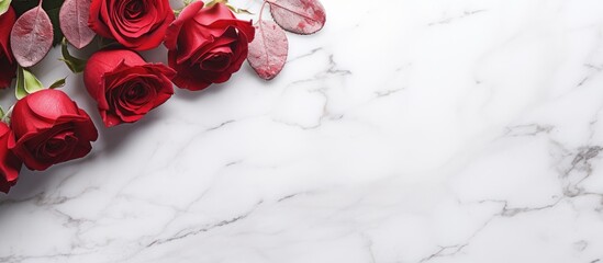 Roses on a white marble surface