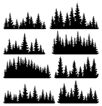 Set of fir trees silhouettes. Coniferous spruce horizontal background patterns, black evergreen woods  illustration. Beautiful hand drawn panoramas of coniferous forest