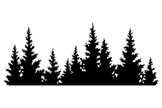 Fir trees silhouette. Coniferous spruce horizontal background pattern, black evergreen woods  illustration. Beautiful hand drawn panorama of coniferous forest