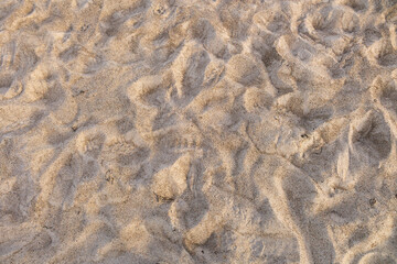 Sand on the beach of the Baltic Sea in Warnemünde in Mecklenburg-Western Pomerania in Germany