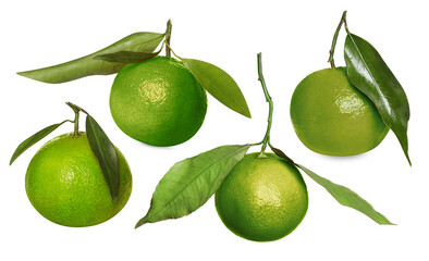 Fresh ripe tangerines with green peel isolated on white, set