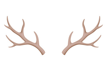 Horns. Hunting trophy.  horned wild animal. Pairs of antlers.  illustration of hunted animal, wildlife decoration concept