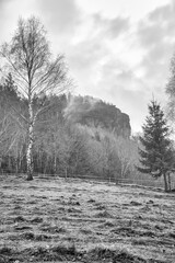 Elbe Sandstone Mountains in black and white. Meadow in front of forest and rocks. Fog